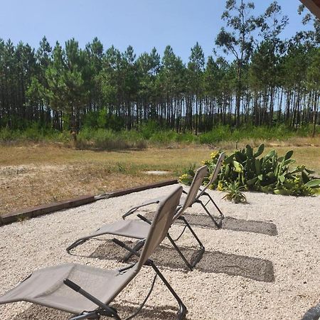Quinta Das Camarinhas كانتانهيدي المظهر الخارجي الصورة