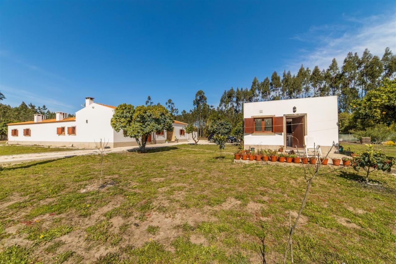 Quinta Das Camarinhas كانتانهيدي المظهر الخارجي الصورة
