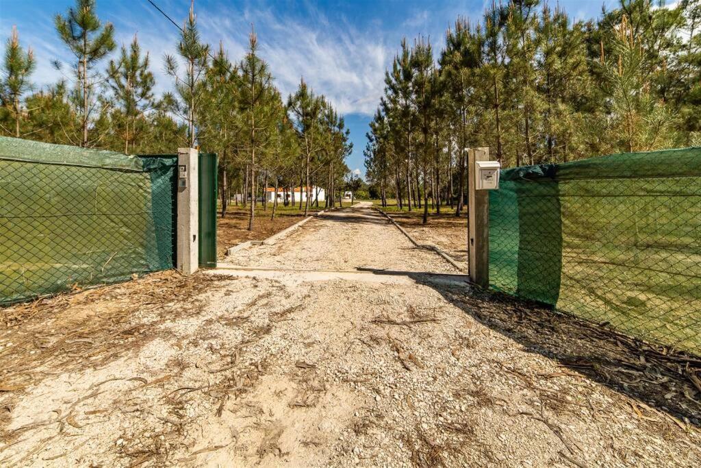 Quinta Das Camarinhas كانتانهيدي المظهر الخارجي الصورة