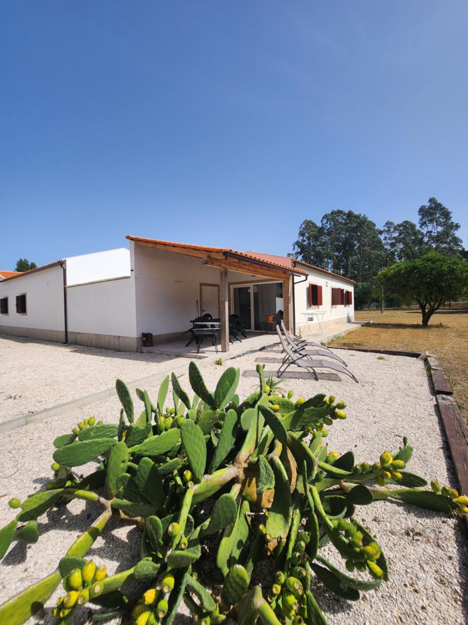 Quinta Das Camarinhas كانتانهيدي المظهر الخارجي الصورة